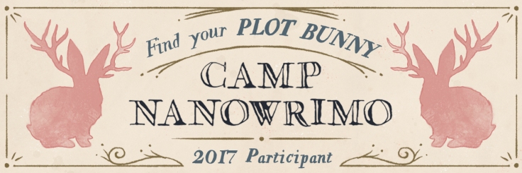 camp-2017-participant-twitter-header